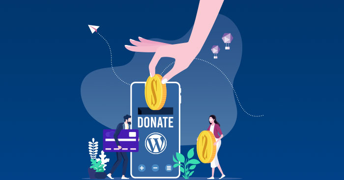 WordPress Donation Plugins