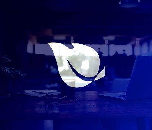 How Cloudways and Divi Allow Grow With Meerkat to...